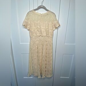 Champagne & Strawberry Anthropologie Lace Embroidered Midi Dress NWOT Medium